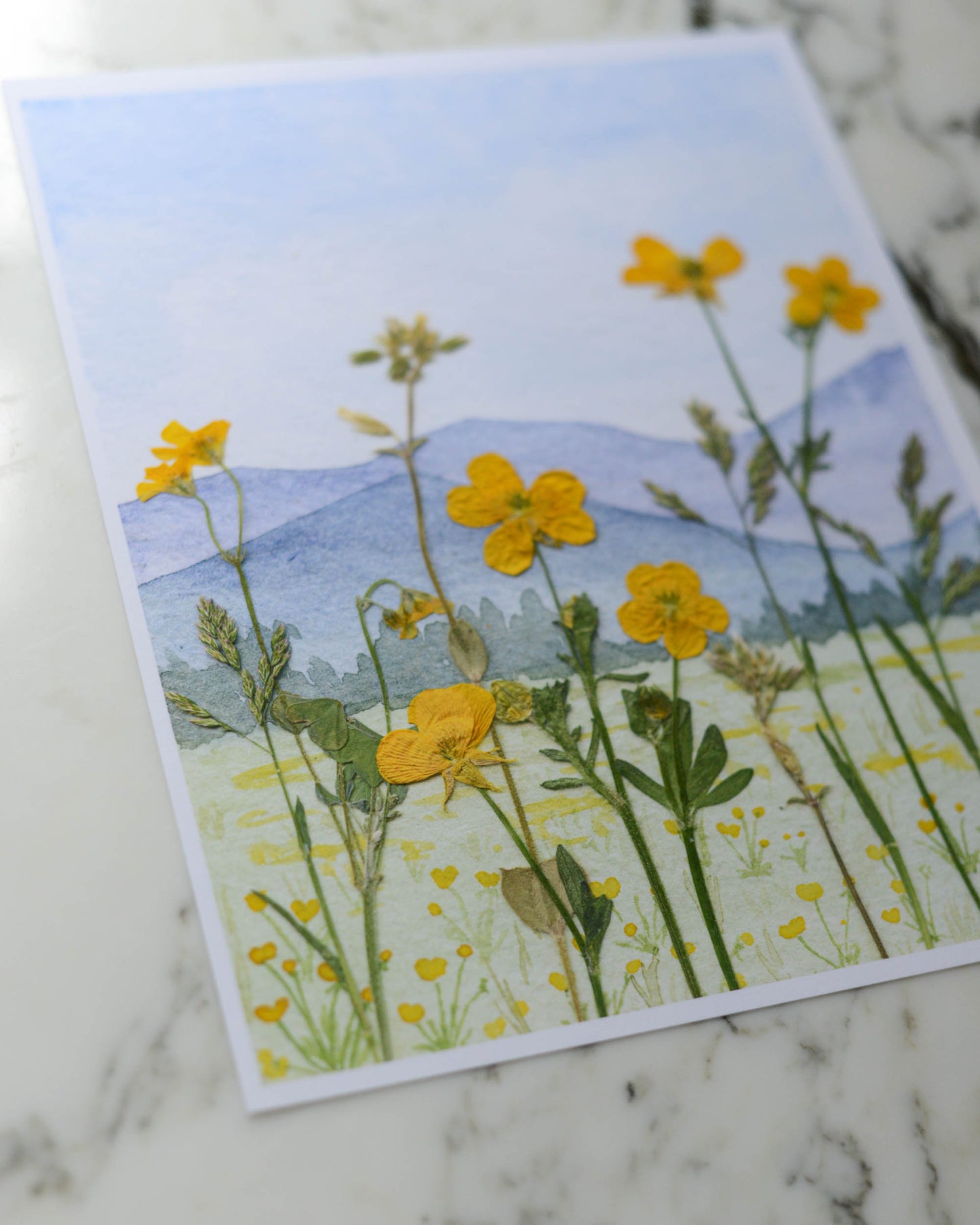 Blue Ridge Buttercups - Watercolor Flowerscape Print artwork