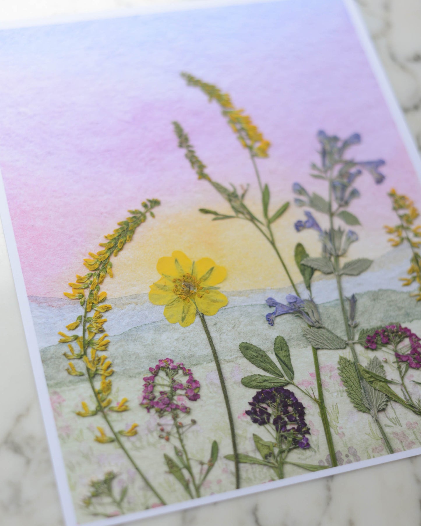 Foothills Sunrise - Watercolor Flowerscape Print artwork