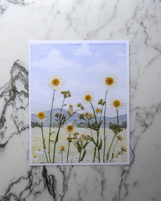 Mountain Daisies - Watercolor Flowerscape Print artwork