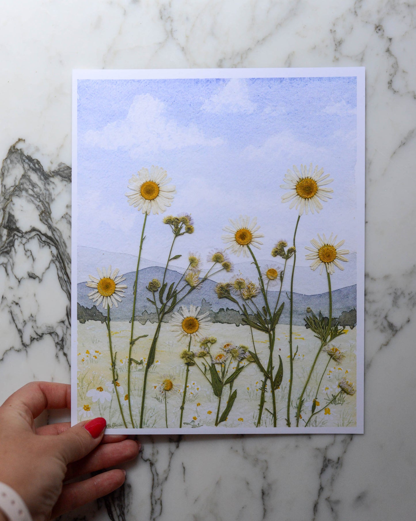Mountain Daisies - Watercolor Flowerscape Print artwork