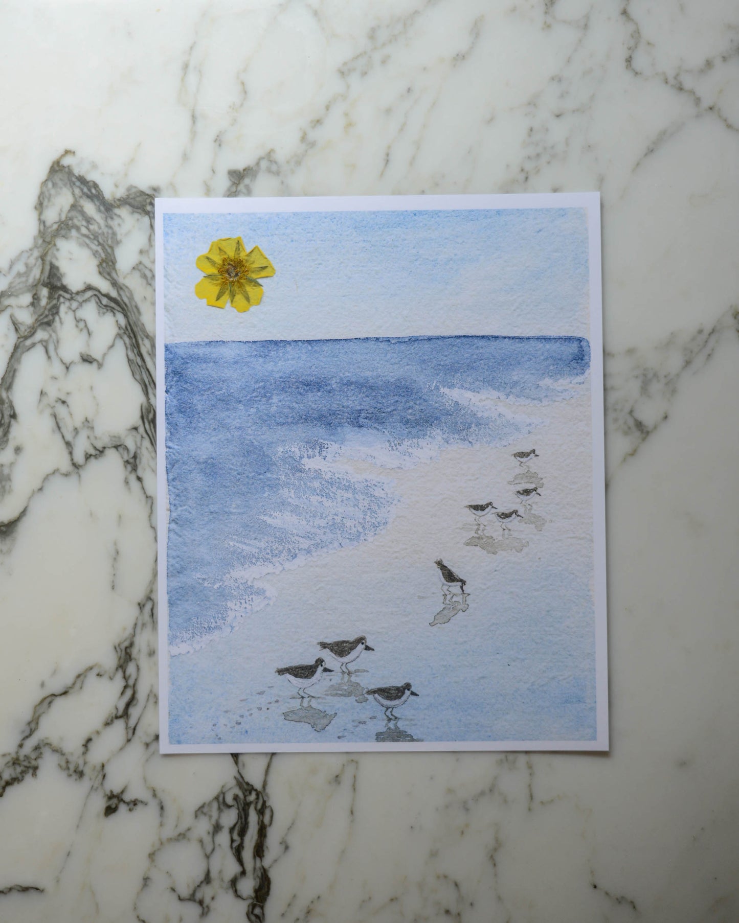 Sandpipers - Watercolor Flowerscape Print artwork