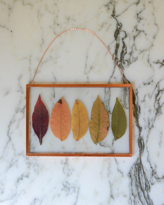 Sumac Spectrum - Real Pressed Leaves in Medium Glass and Copper Wall Hanging