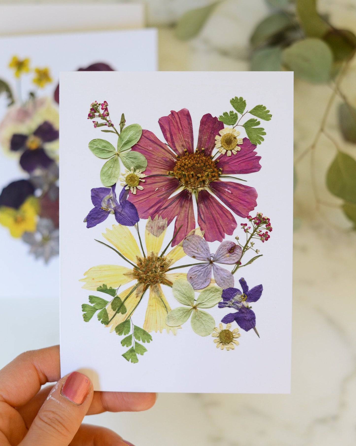 Four Seasons - Blank Greeting Cards, set of 4+ with envelopes