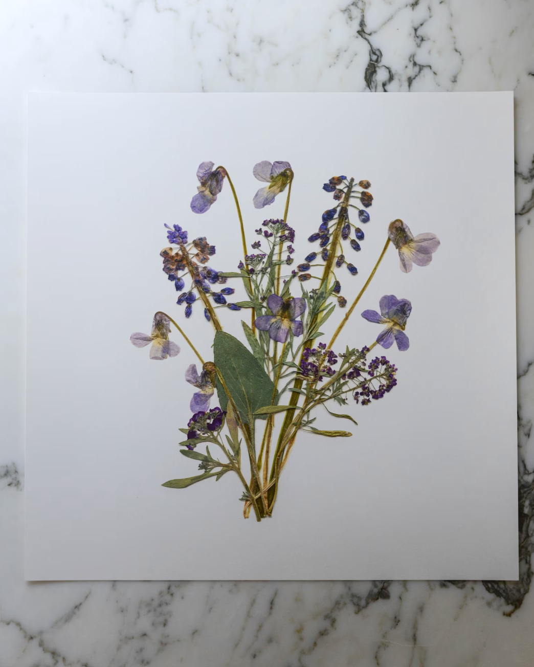 Birthday Bouquets - Art Print of Pressed Flowers