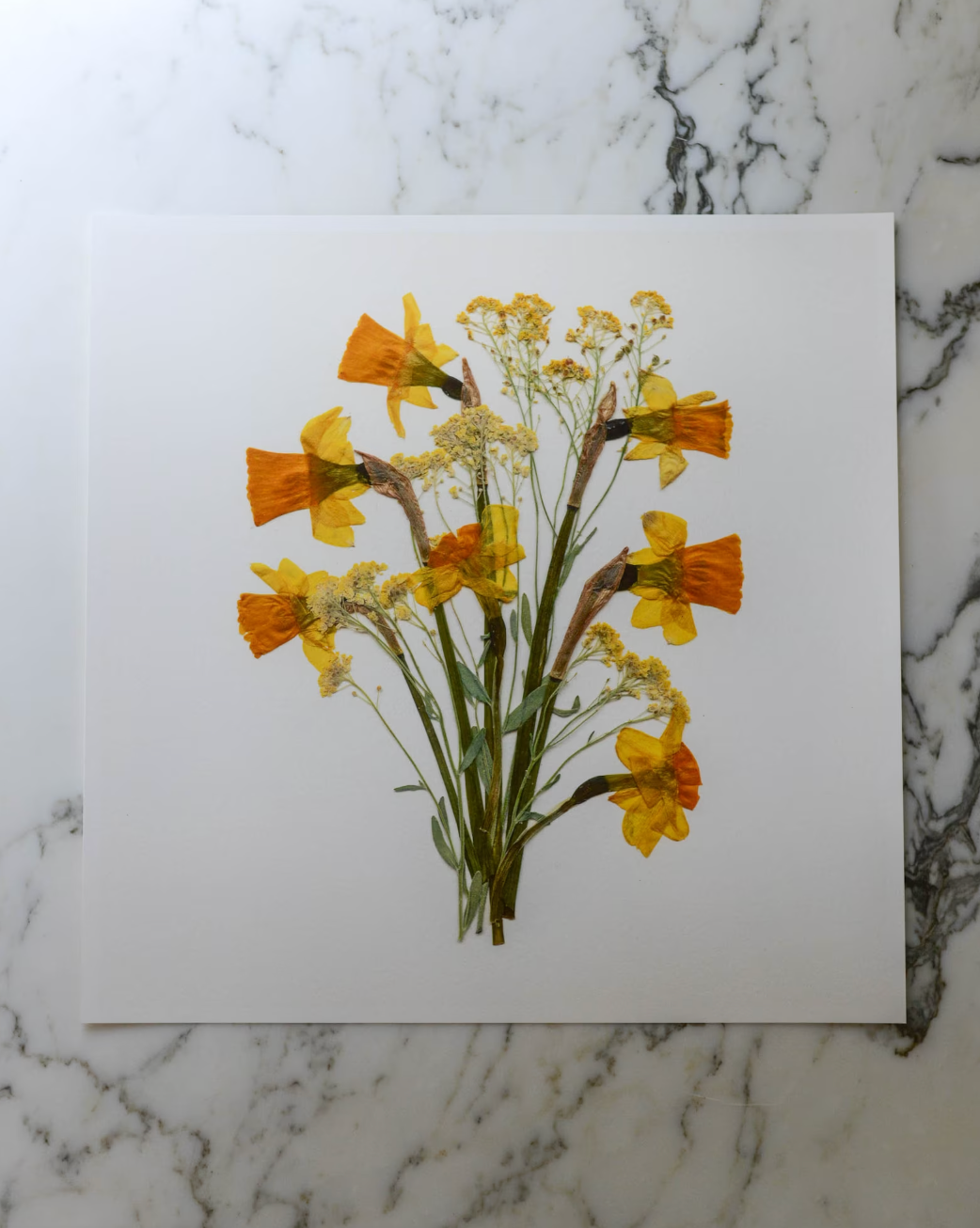 Birthday Bouquets - Art Print of Pressed Flowers