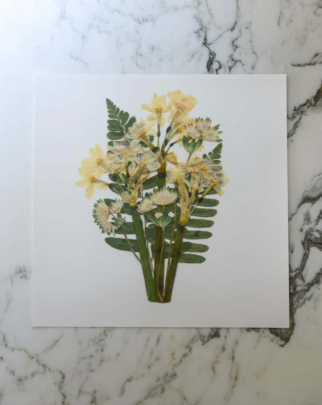 Birthday Bouquets - Art Print of Pressed Flowers