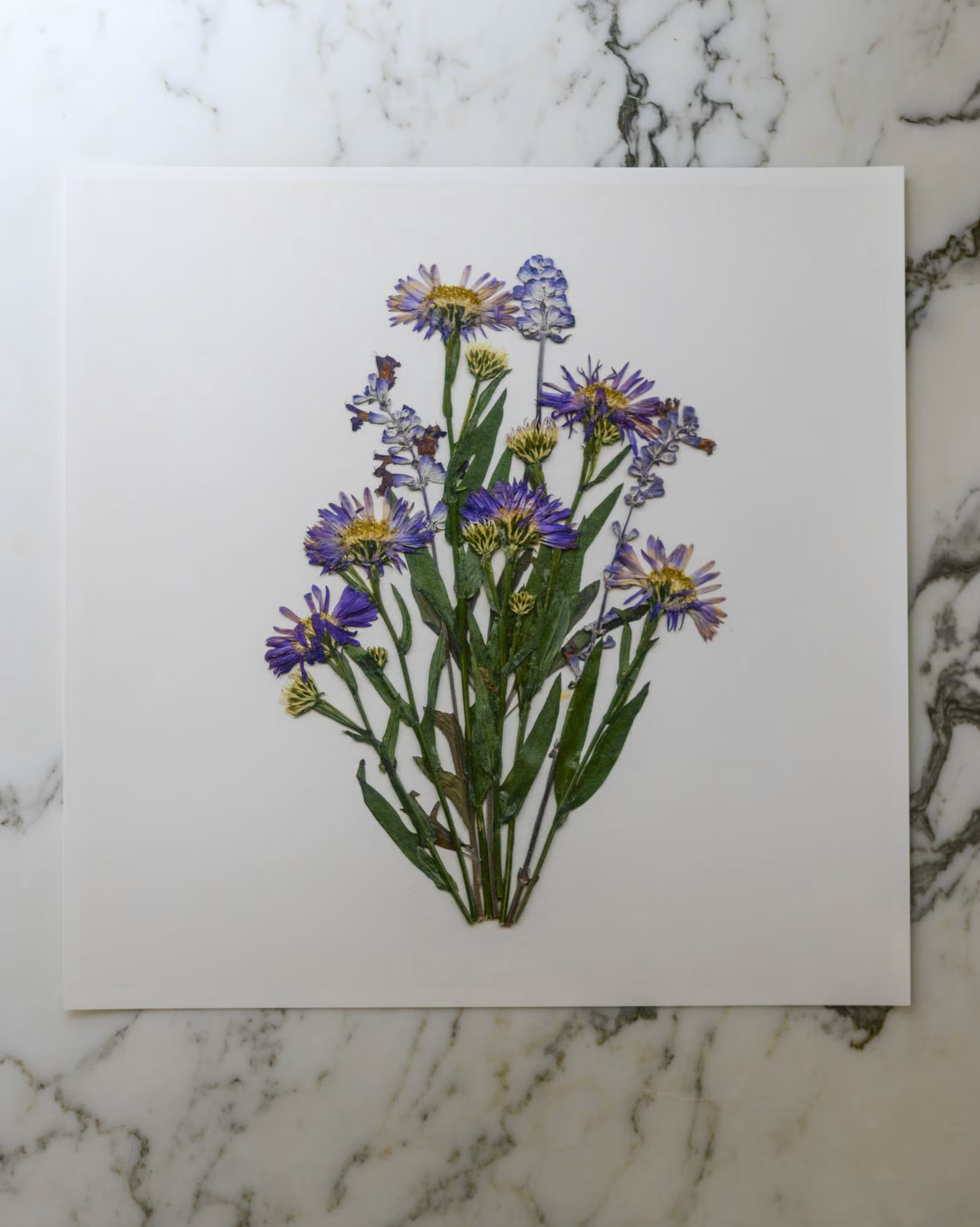 Birthday Bouquets - Art Print of Pressed Flowers
