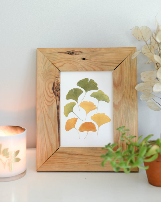 Autumn Leaves Collection - Art Print of Pressed Flowers