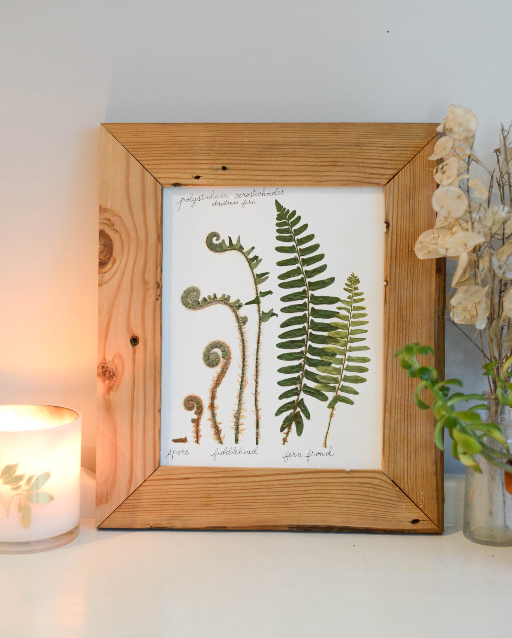 Lifecycle Collection - Art Print of Pressed Flowers