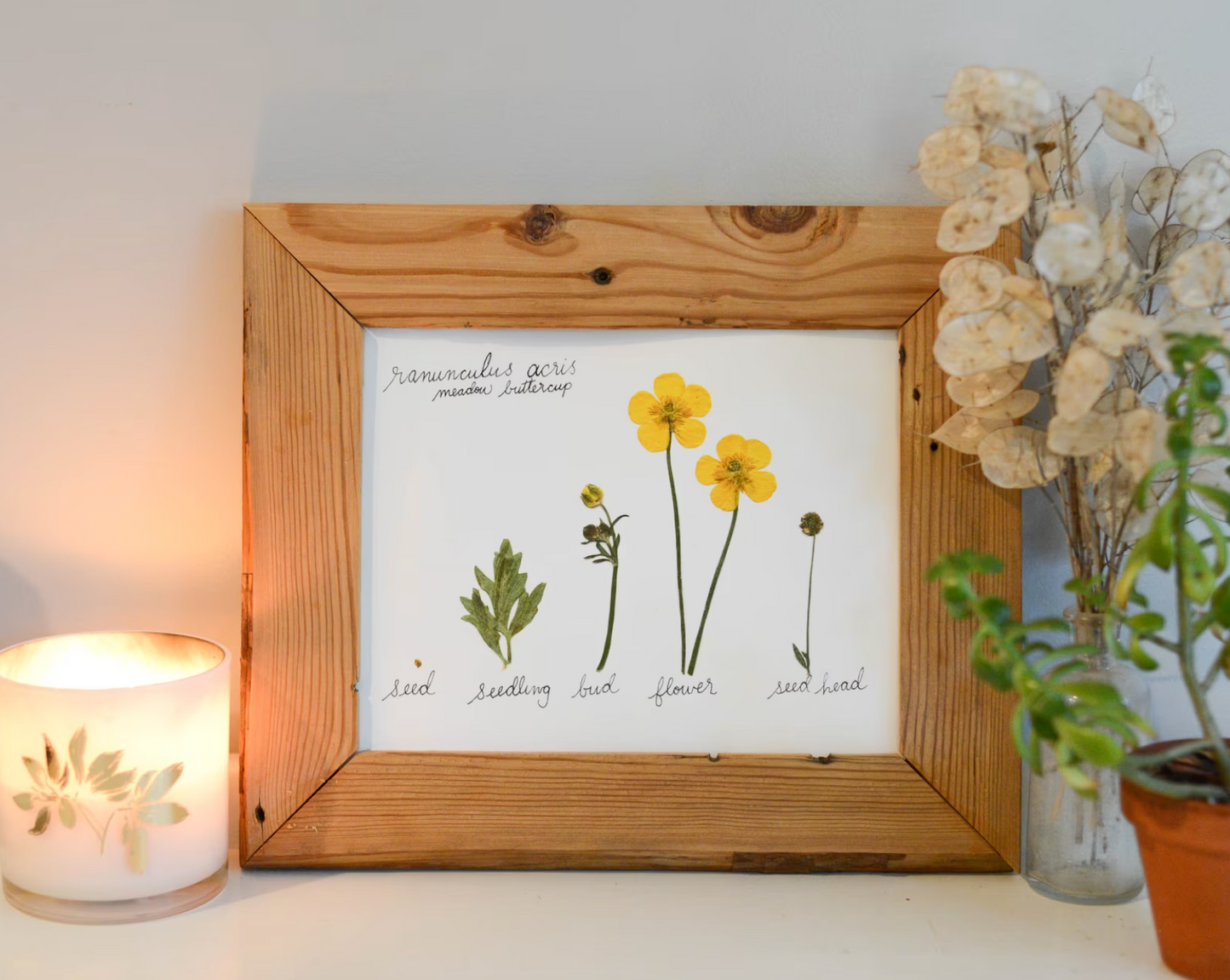Lifecycle Collection - Art Print of Pressed Flowers