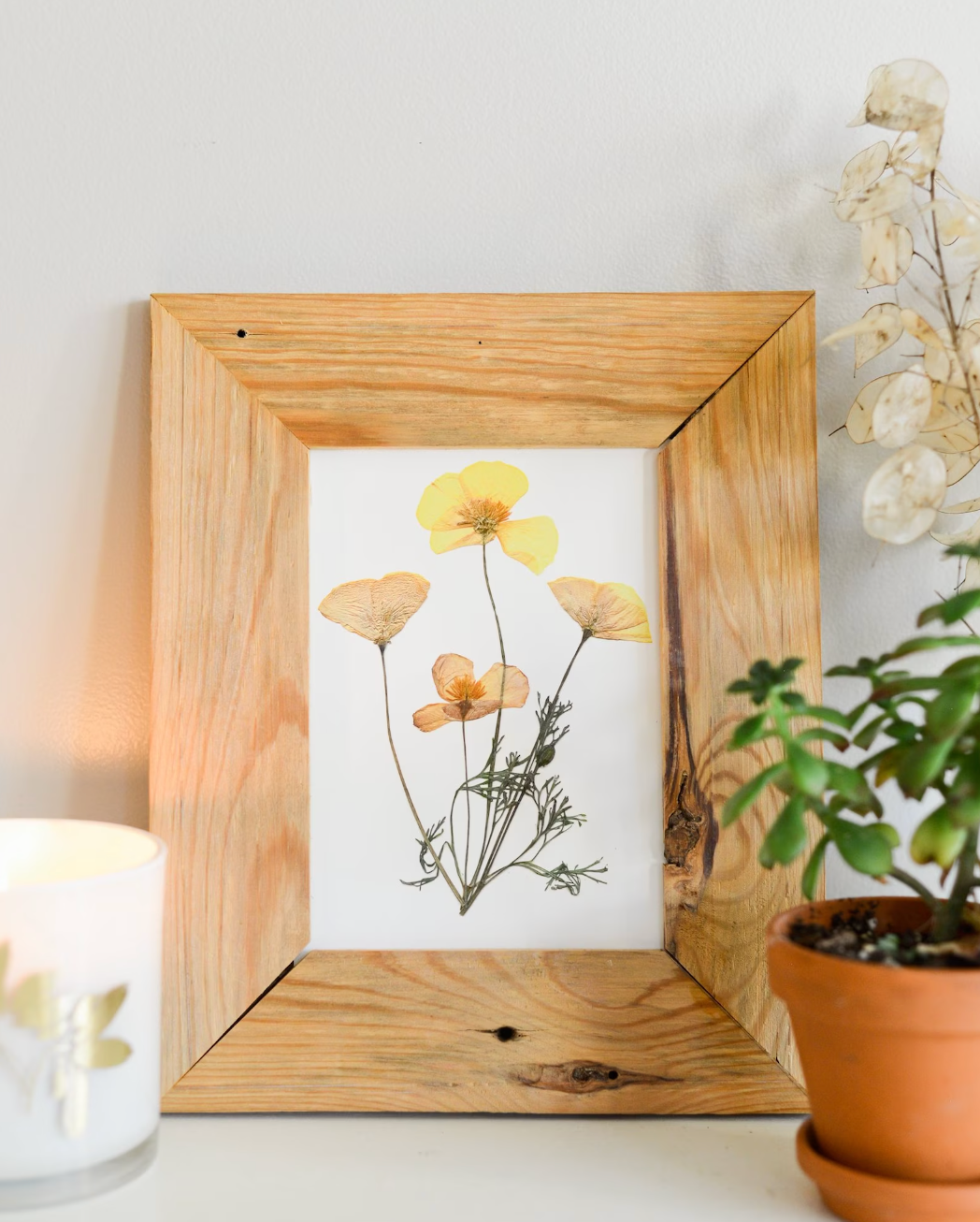 California Poppy - Art Print of Pressed Flowers