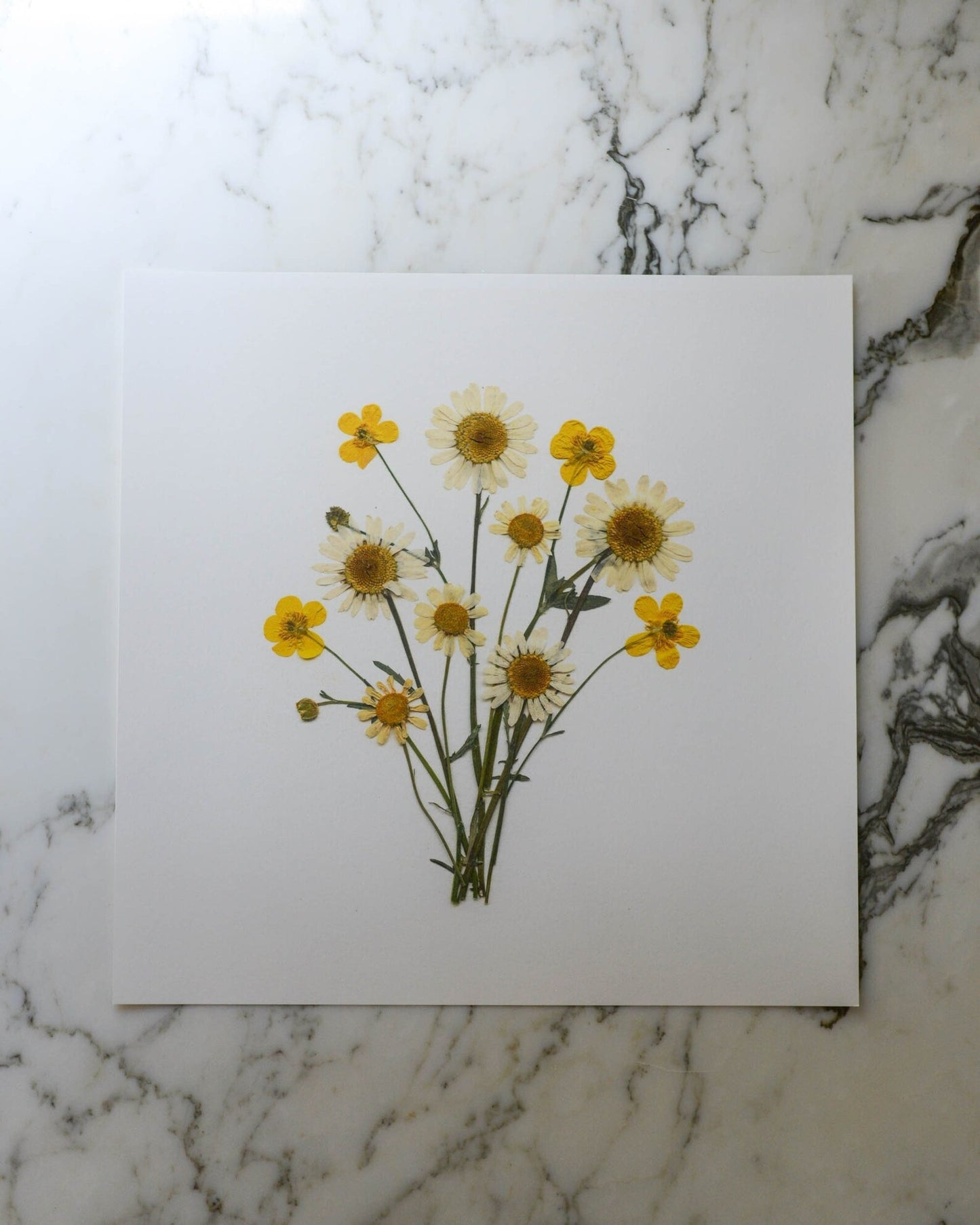 Birthday Bouquets - Art Print of Pressed Flowers