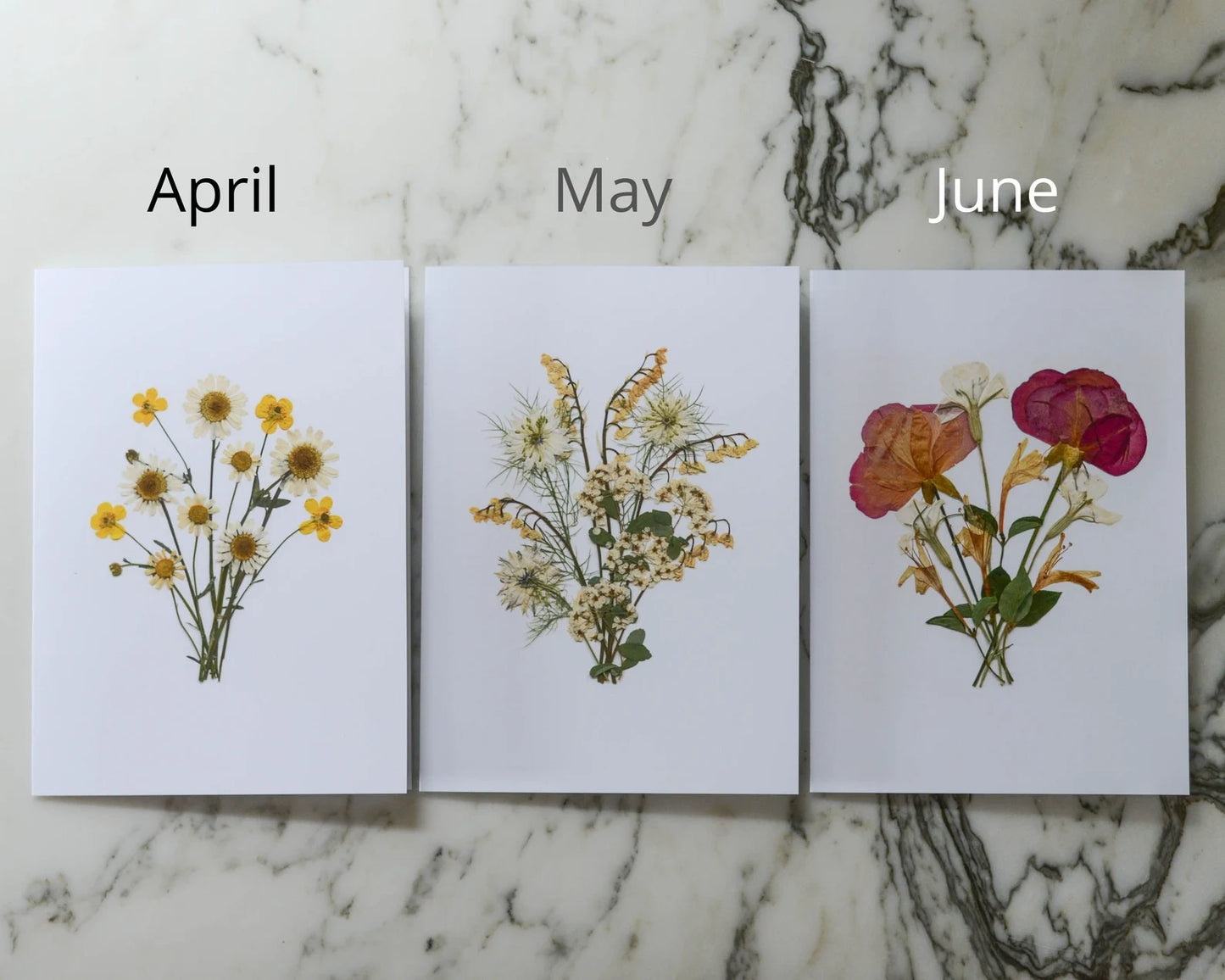 The Bouquet Collection - Individual Blank Greeting Cards