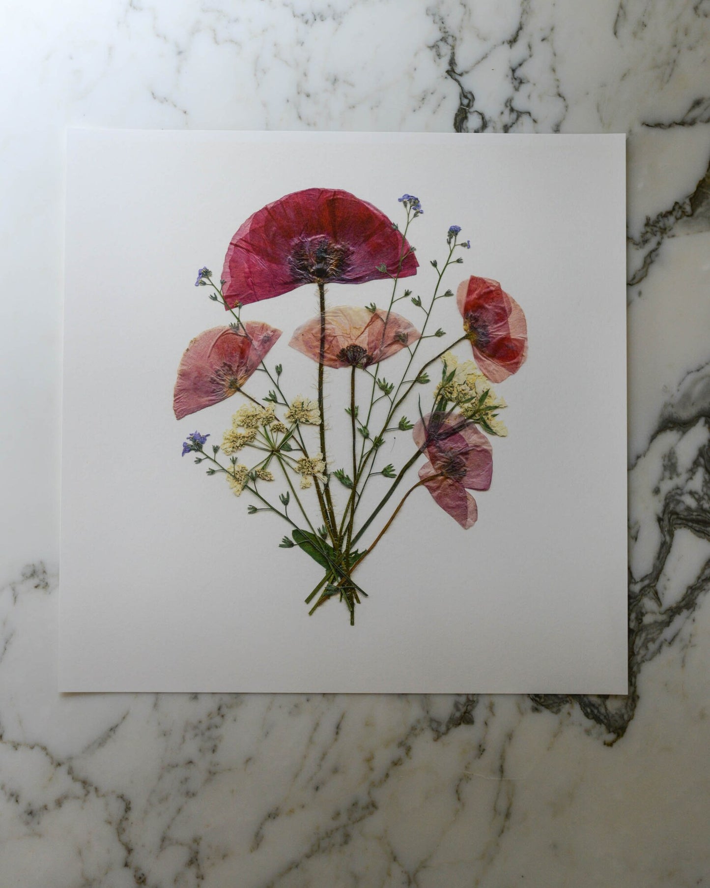 Birthday Bouquets - Art Print of Pressed Flowers