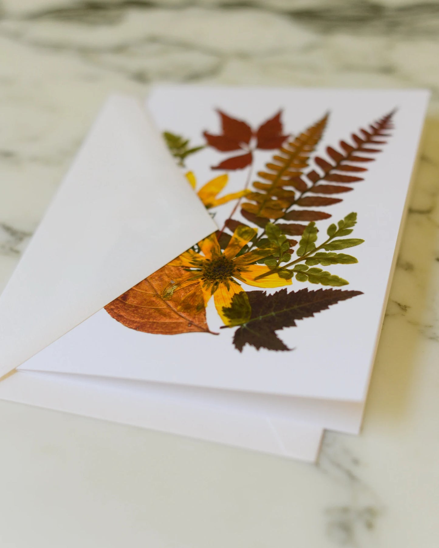 Four Seasons - Autumn, Individual Blank Greeting Card