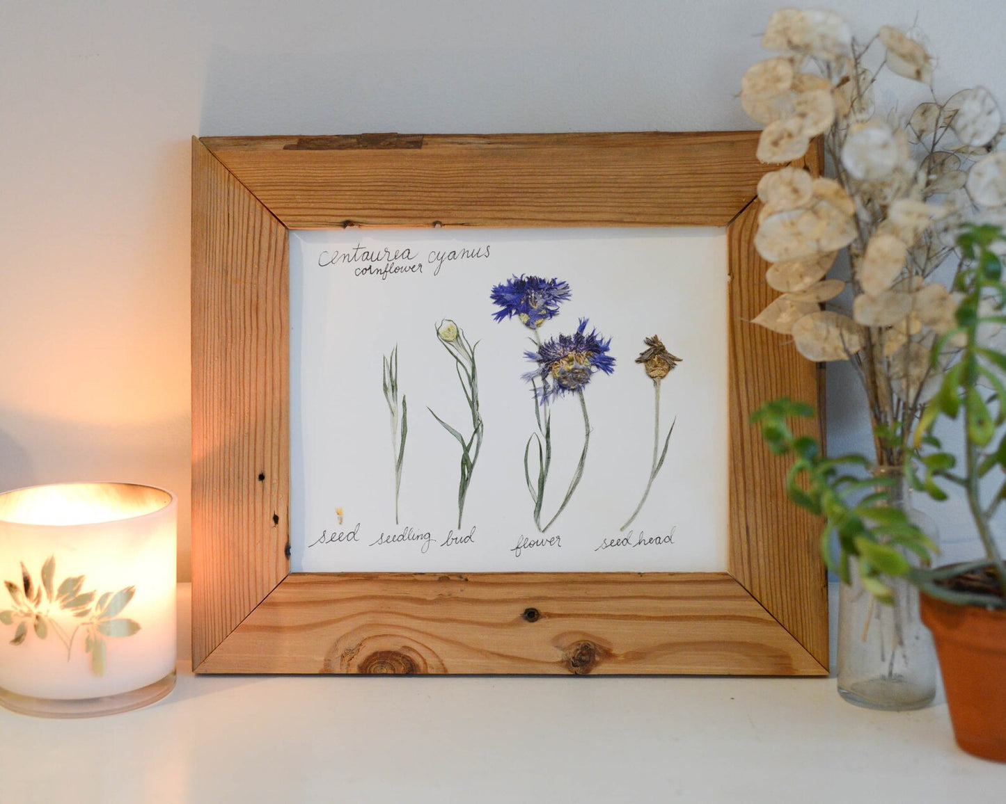 Lifecycle Collection - Art Print of Pressed Flowers