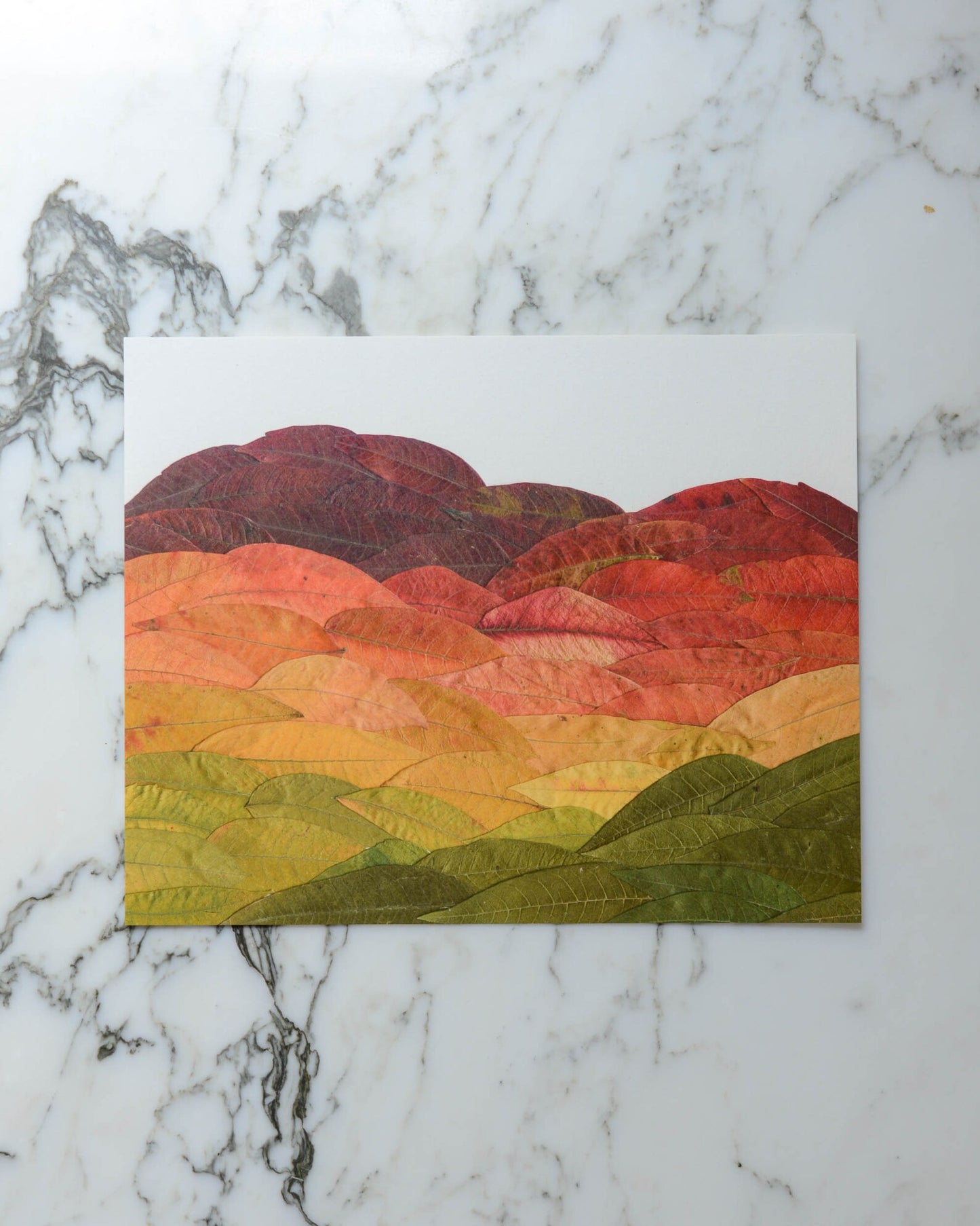 Autumn Leaves Collection - Art Print of Pressed Flowers