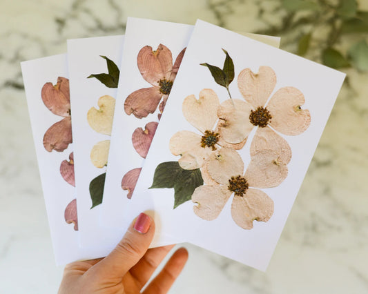 Flowering Dogwood - Blank Greeting Cards, set of 4+ with envelopes