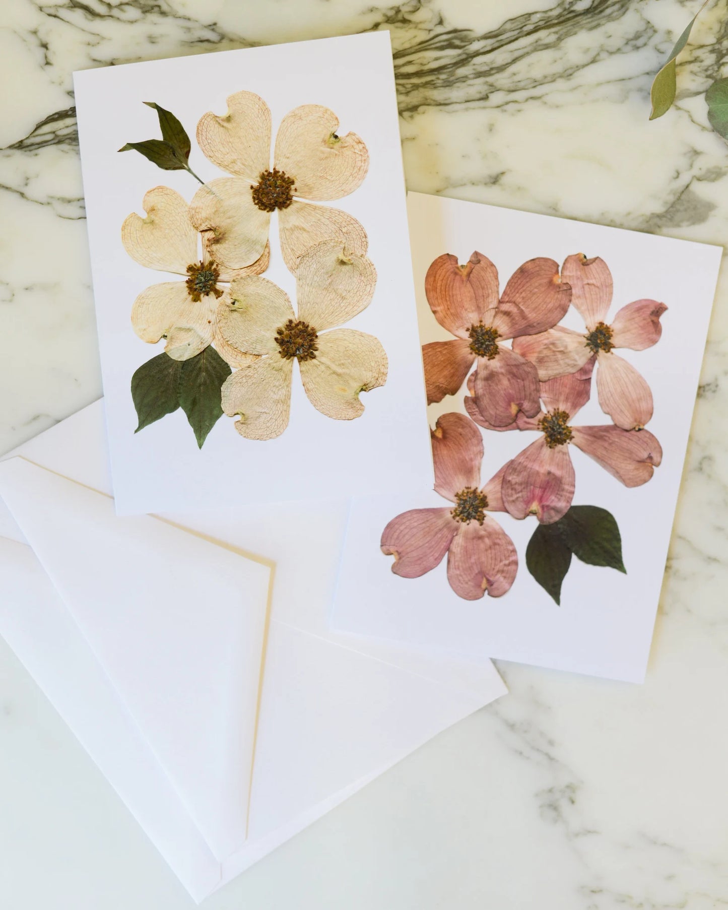 Flowering Dogwood - Blank Greeting Cards, set of 4+ with envelopes
