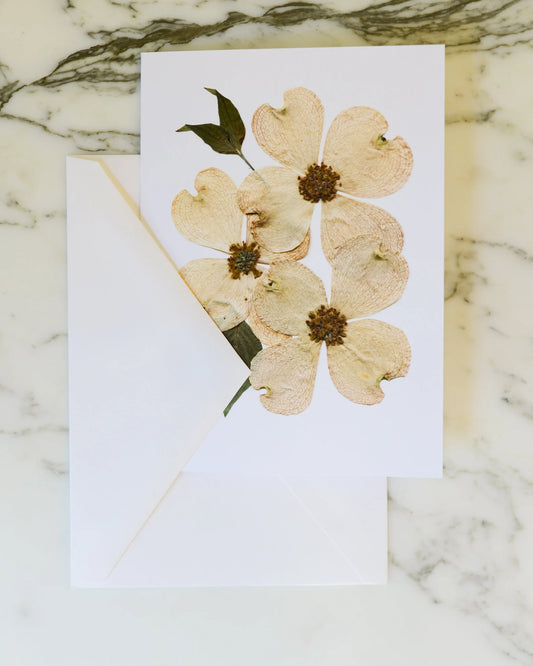 Flowering Dogwood, Individual Blank Greeting Card