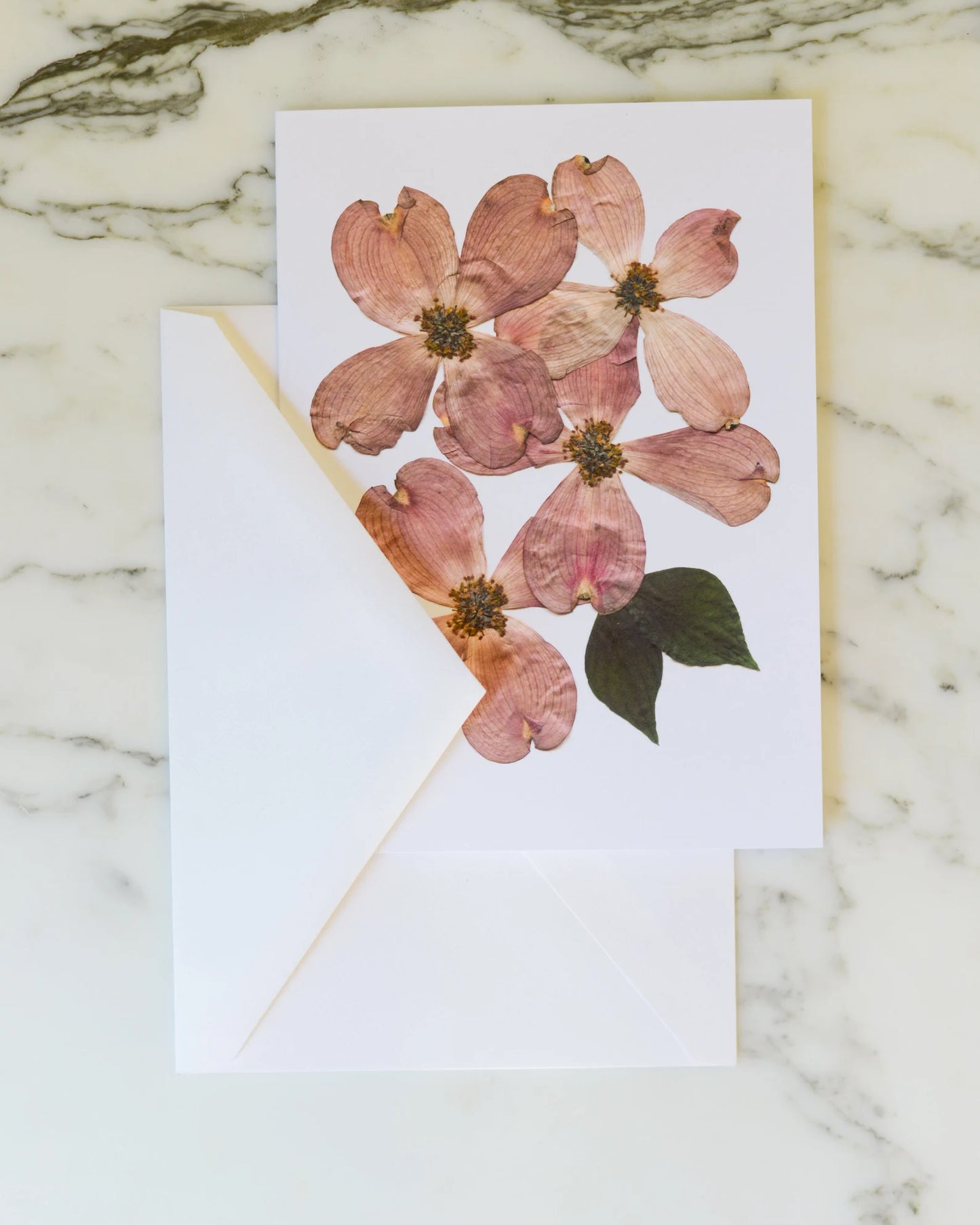 Flowering Dogwood, Individual Blank Greeting Card