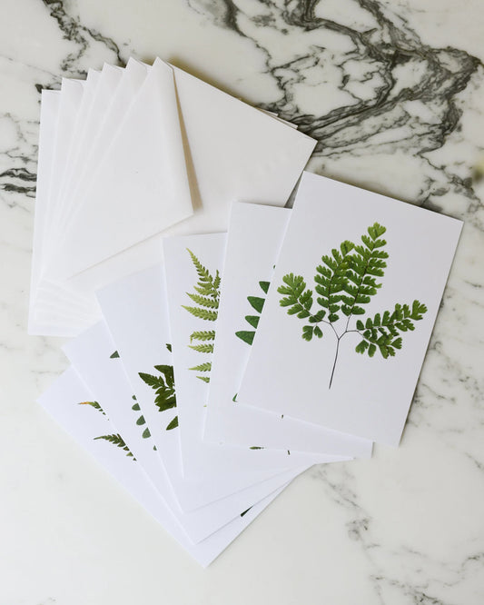 Forest Ferns - Blank Greeting Cards, set of 6 with envelopes