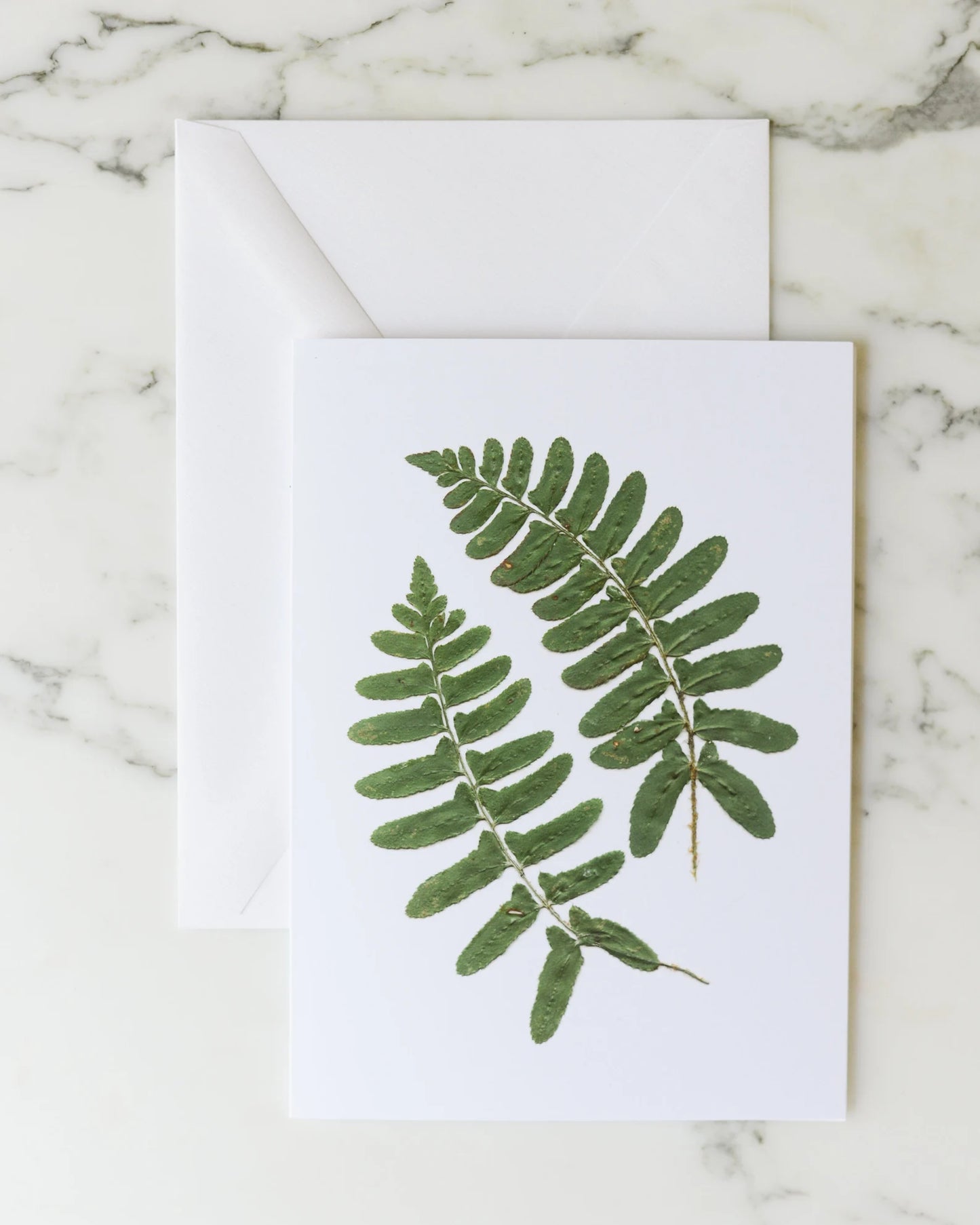 Forest Ferns - Blank Greeting Cards, set of 6 with envelopes