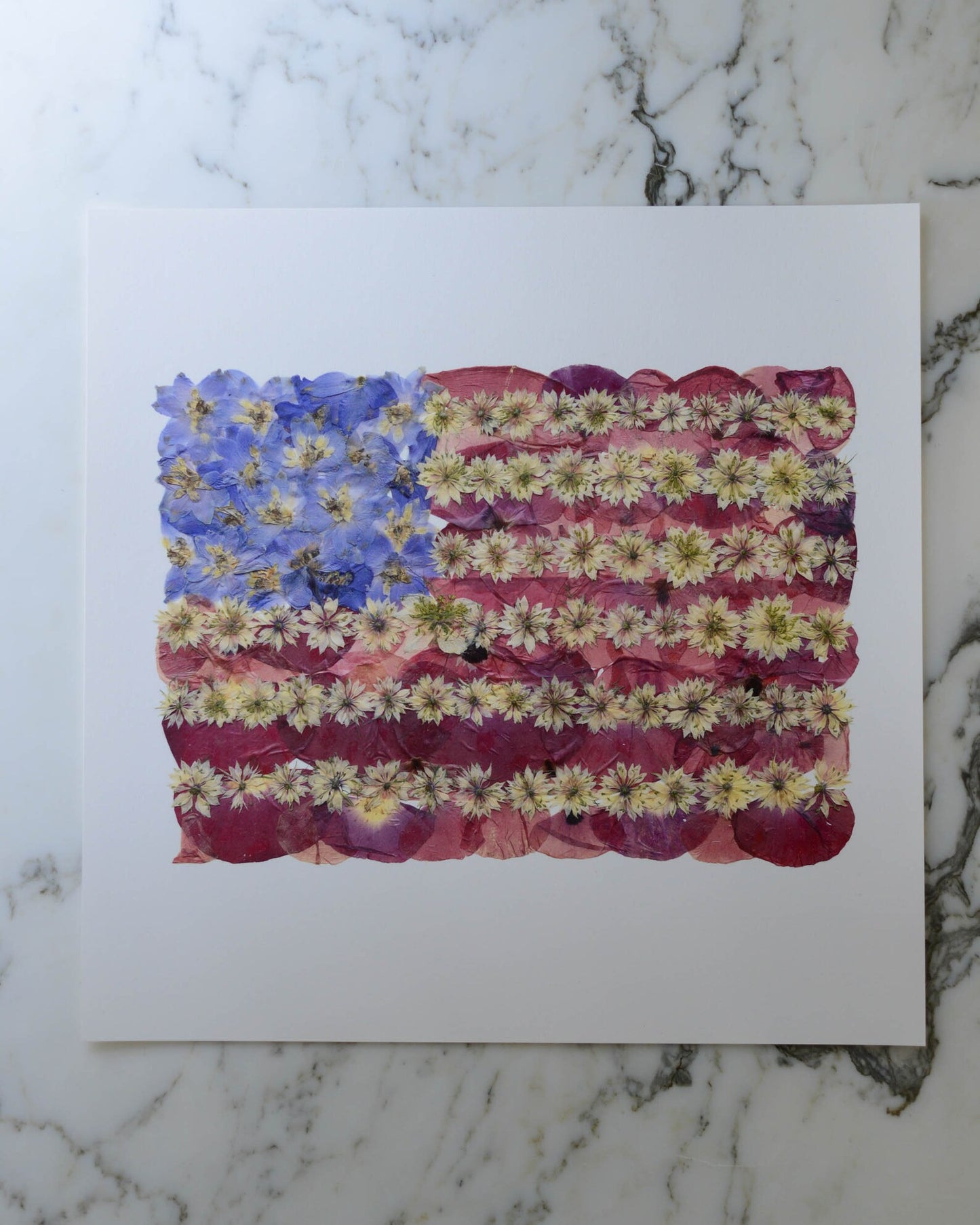 Flowered Glory - Art Print of Pressed Flowers