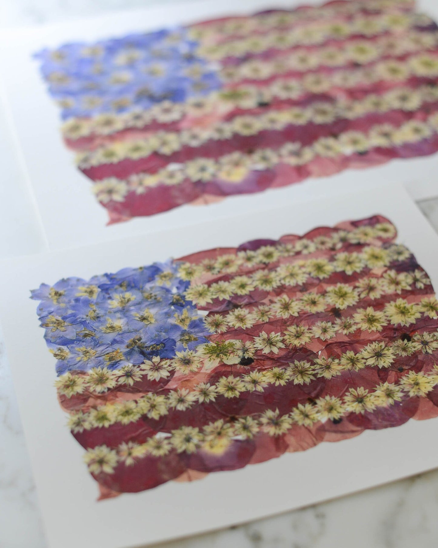 Flowered Glory - Art Print of Pressed Flowers