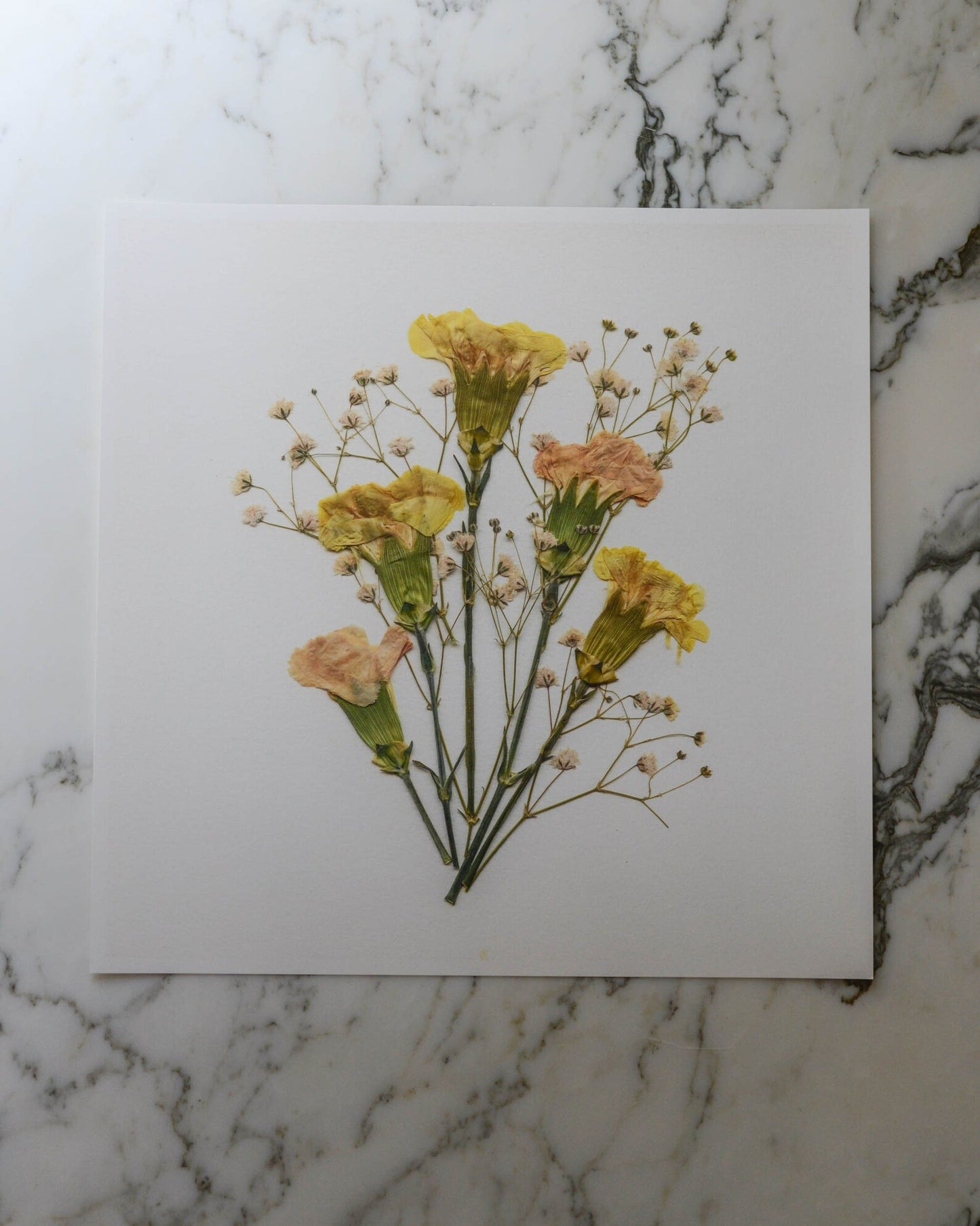 Birthday Bouquets - Art Print of Pressed Flowers