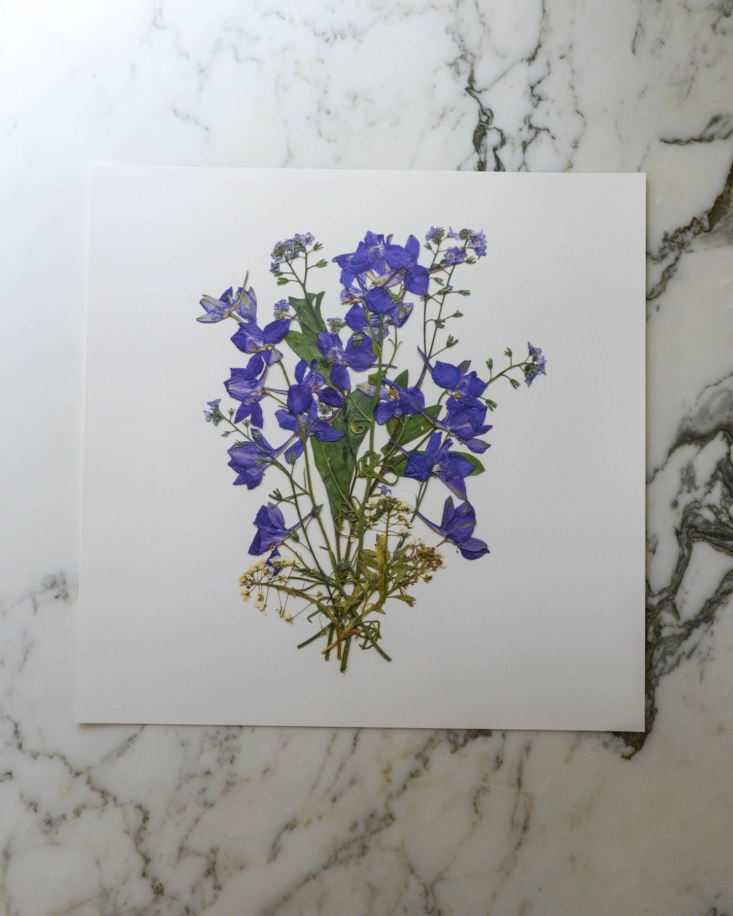 Birthday Bouquets - Art Print of Pressed Flowers