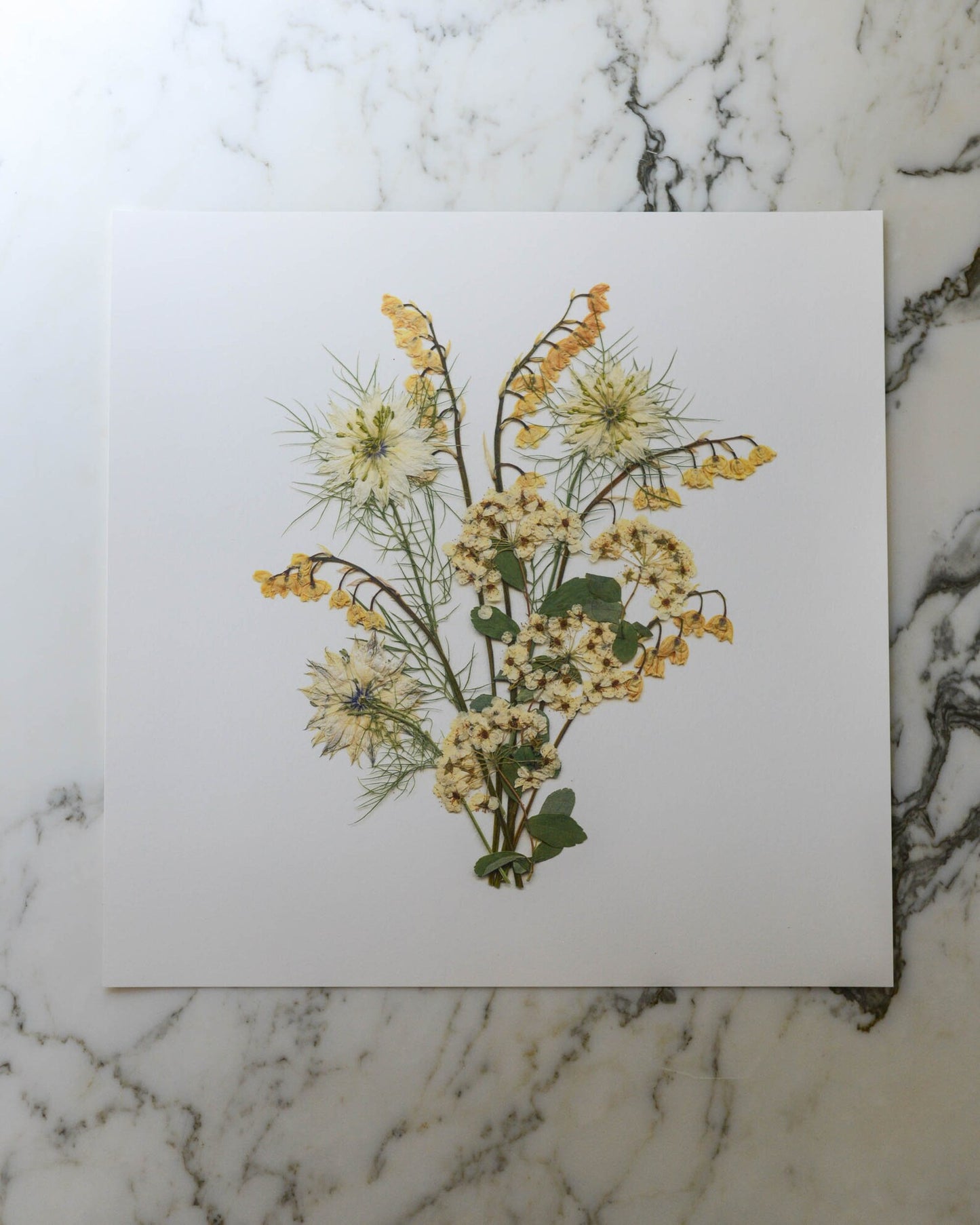Birthday Bouquets - Art Print of Pressed Flowers