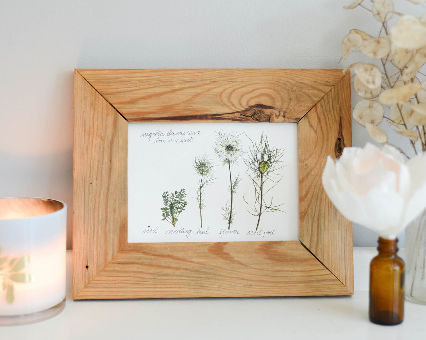 Lifecycle Collection - Art Print of Pressed Flowers