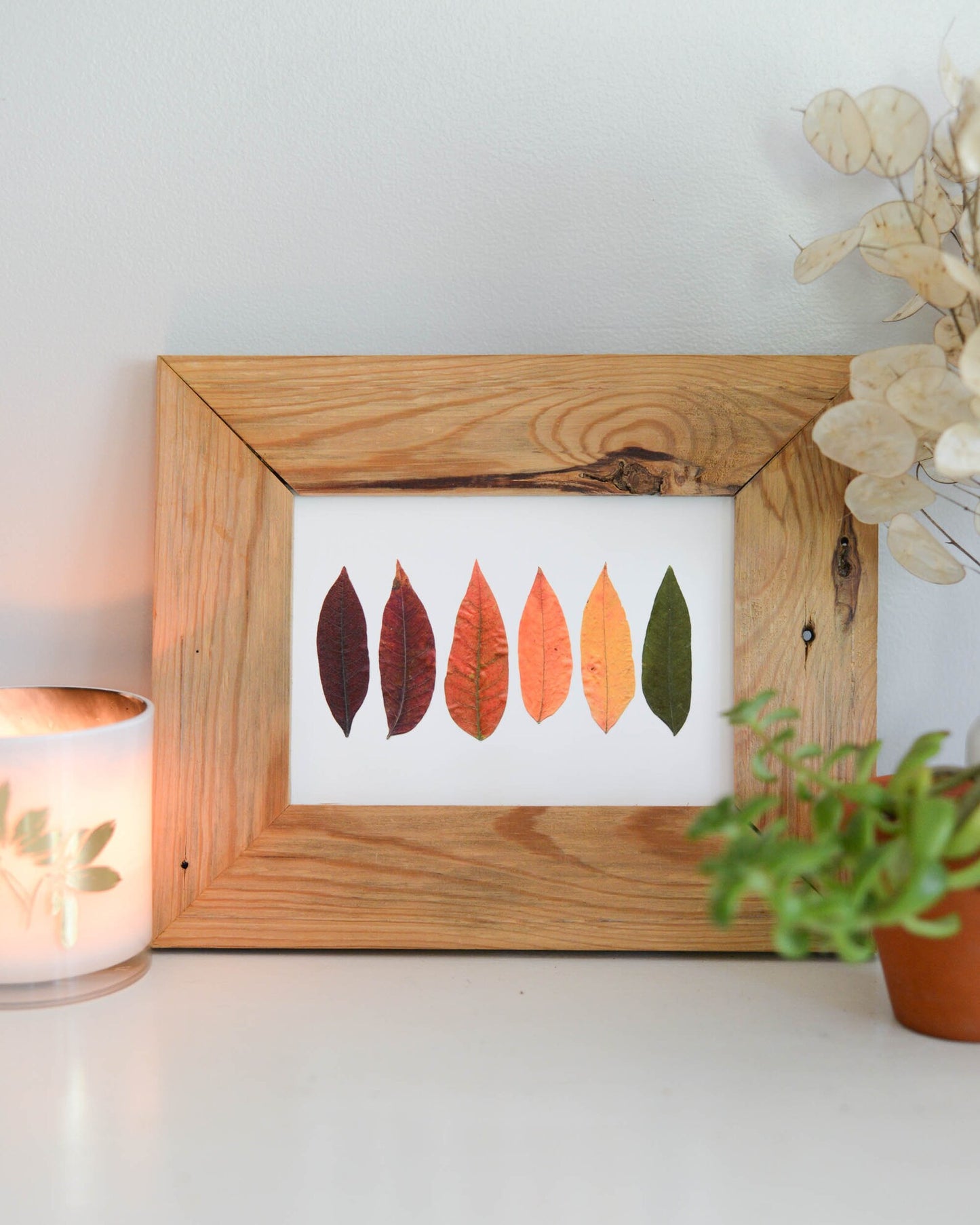Autumn Leaves Collection - Art Print of Pressed Flowers
