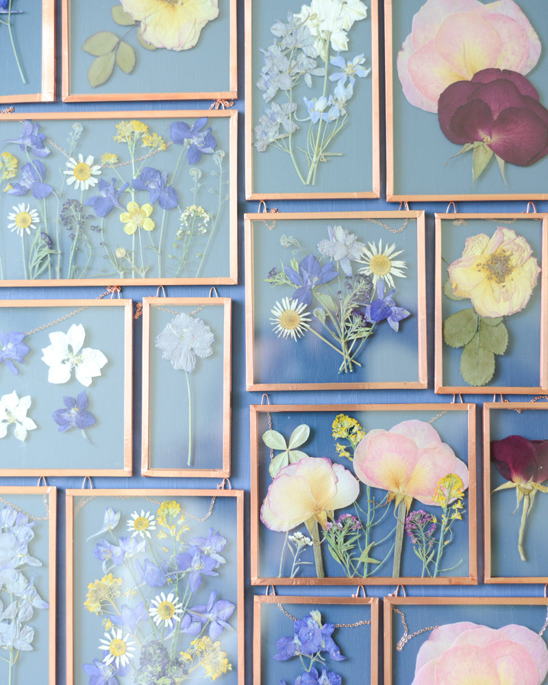 June Roses & July Larkspur
