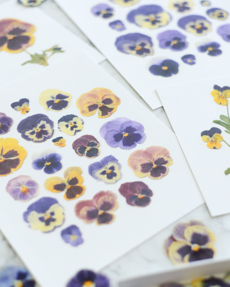Pretty Pressed Pansies