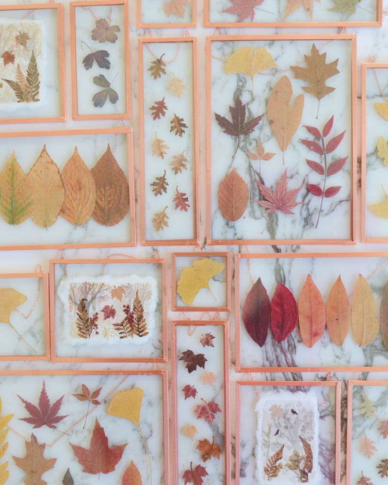 Falling Leaves