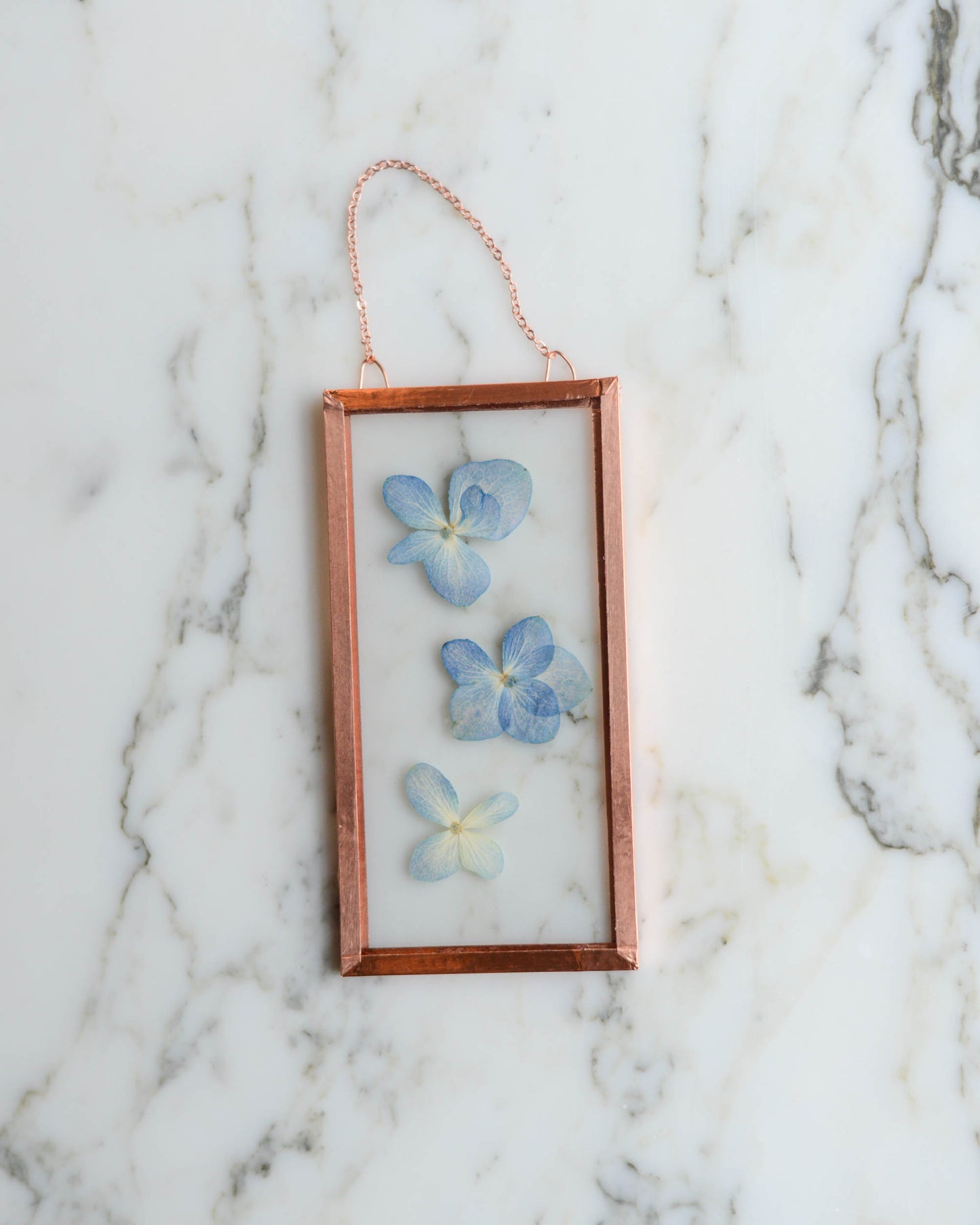 Tiny Flowers - Real Pressed Flowers in Small Glass and Copper Wall Hanging