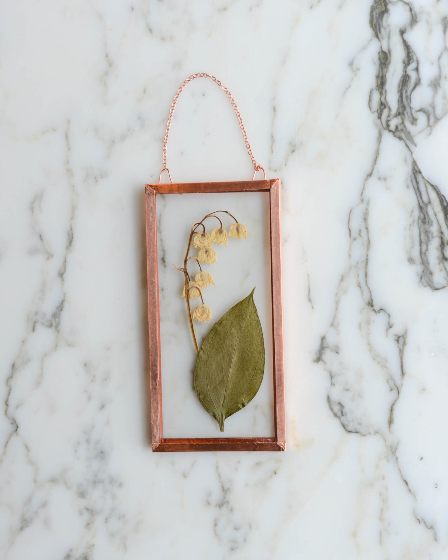 Tiny Flowers - Real Pressed Flowers in Small Glass and Copper Wall Hanging