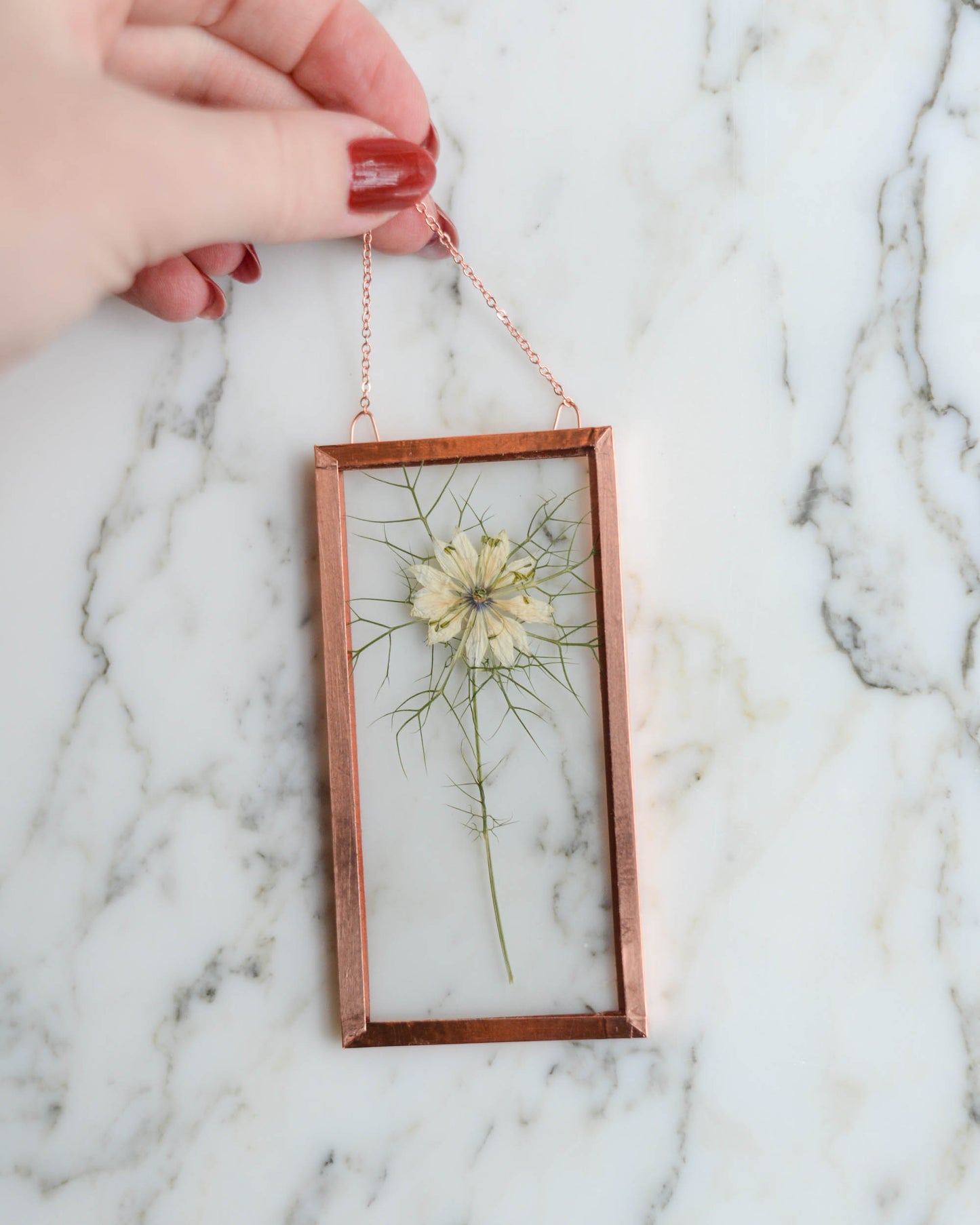 Tiny Flowers - Real Pressed Flowers in Small Glass and Copper Wall Hanging