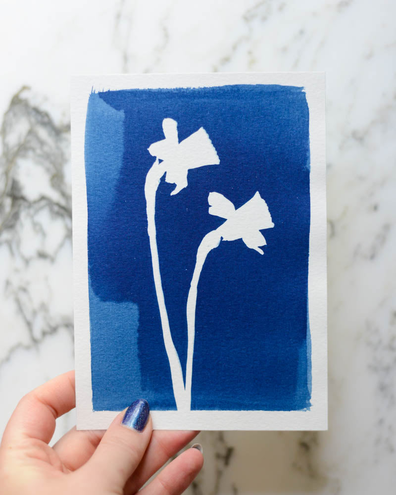 Cyanotype - 5x7" Daffodils