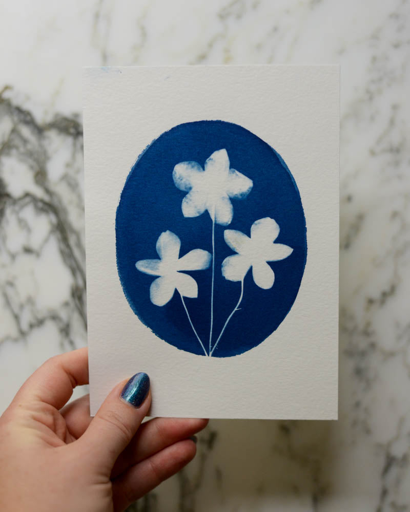 Cyanotype - 5x7" Anemone Cameo