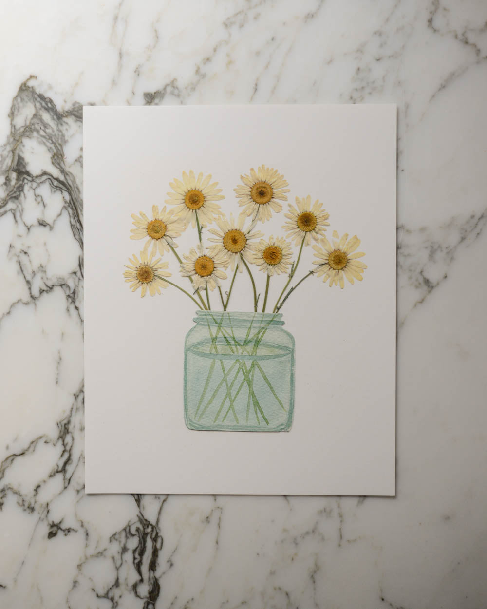 Daisy Vessel - Print Artwork