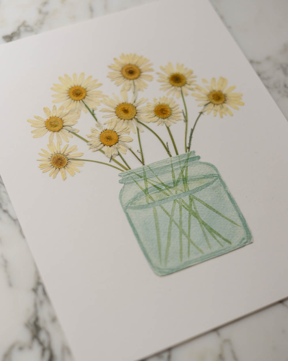 Daisy Vessel - Print Artwork