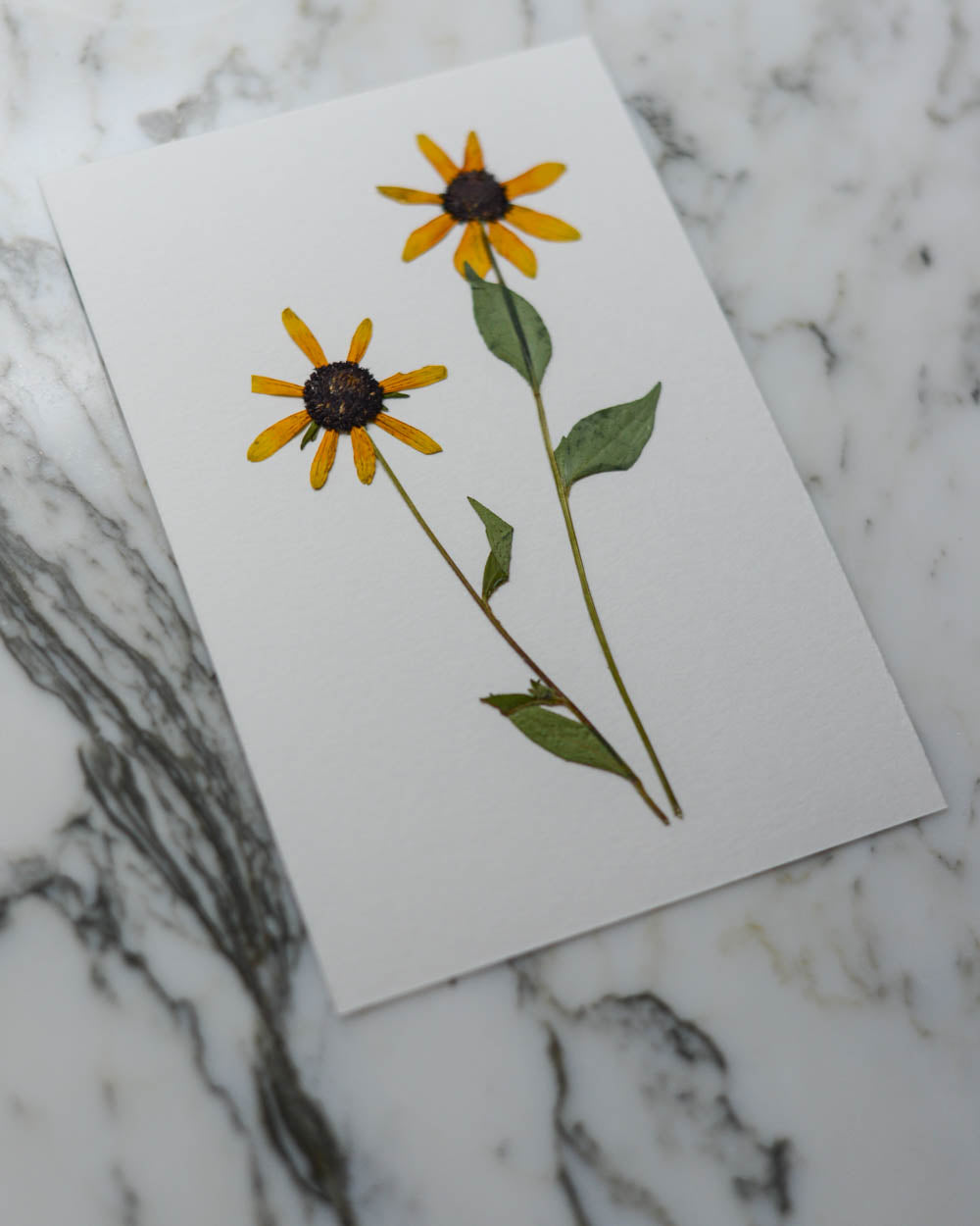 Unframed Botanicals 4x6" - 6