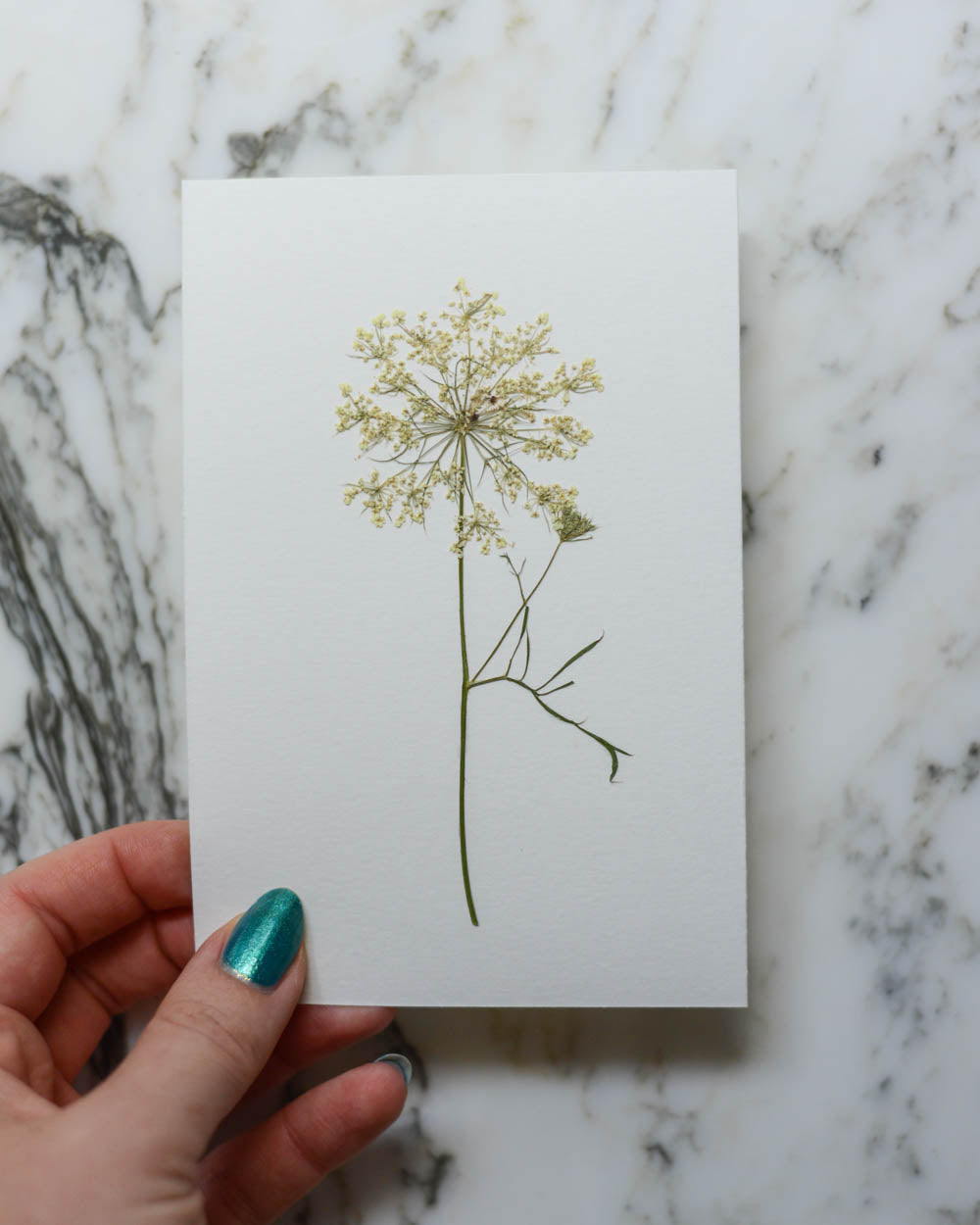 Unframed Botanicals 4x6" - 8