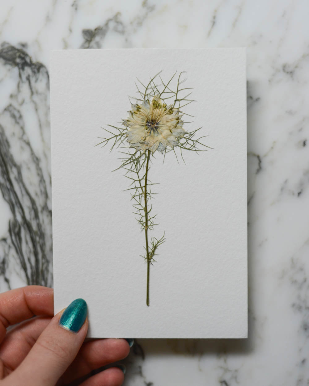 Unframed Botanicals 4x6" - 15