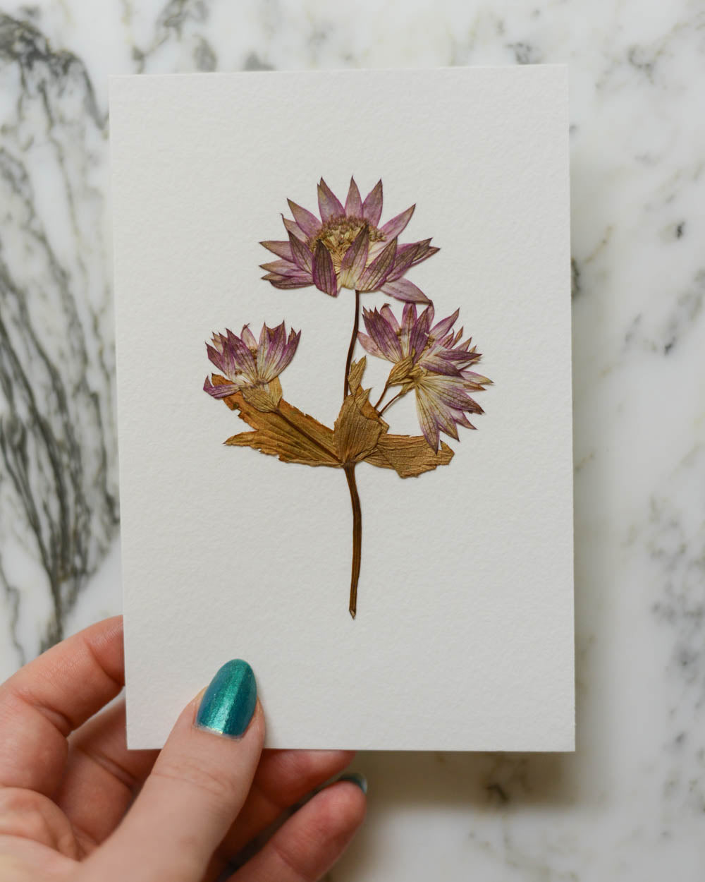 Unframed Botanicals 4x6" - 20