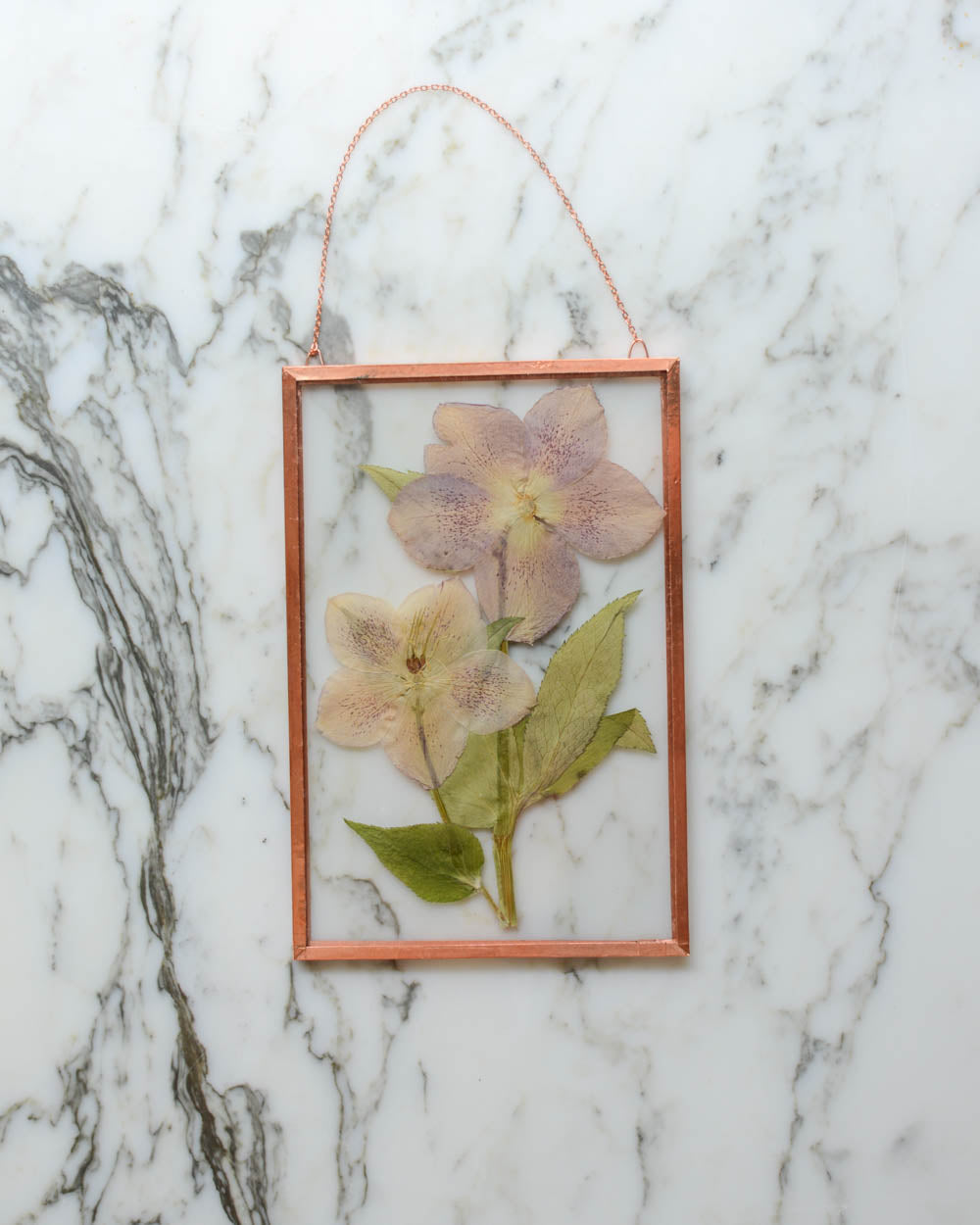 Hellebore - Medium Glass and Copper Wall Hanging