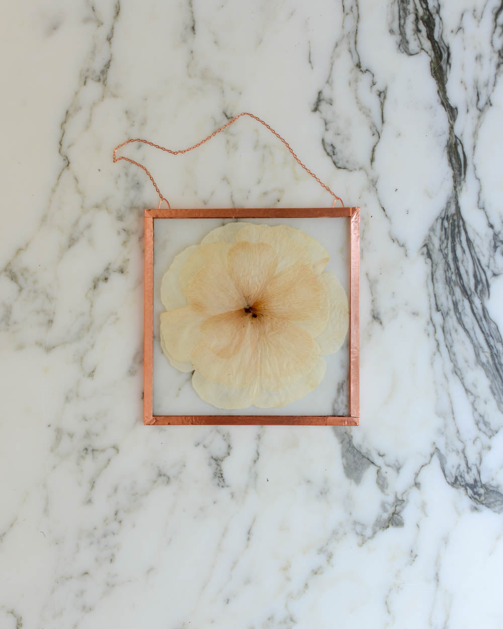 Ranunculus - Medium Square Glass and Copper Wall Hanging